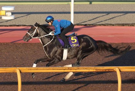 【宝塚記念】ディープボンド動き＆息の入り合格　幸英明騎手「いい意味で状態は変わらない」