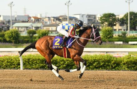 【サンスポ賞さきたま杯】シャマル食い下がるも３着　川須栄彦騎手は相棒ねぎらう