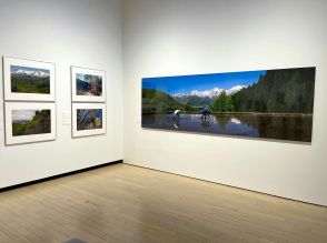 「今森光彦 にっぽんの里山」（東京都写真美術館）開幕レポート。「里山」とはどこから来たのか