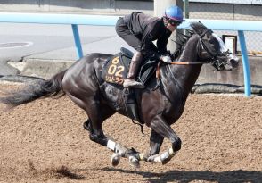 【パラダイスＳ】シュトラウス単走馬なりで好時計　新コンビの杉原誠人騎手「素質は一流」