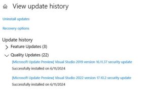 「Visual Studio」のアップデート、毎月の「Windows Update」と同時配信へ