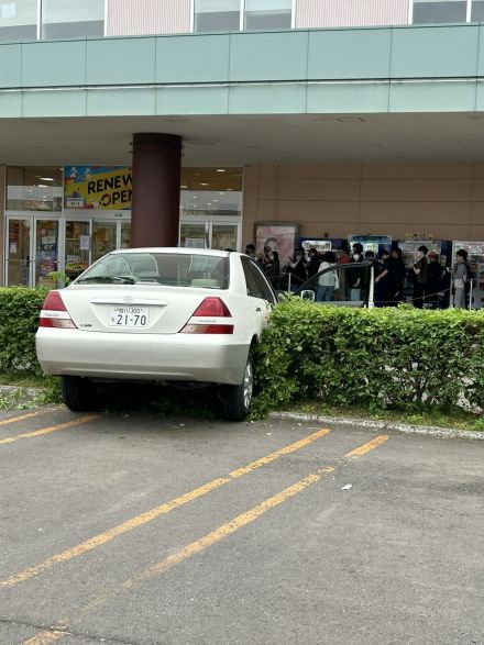 ショッピングモール“アリオ札幌”の駐車場で開店前の行列にあわや…乗用車がすぐそばの“生け垣”に突っ込む ドア開いたまま180度スピン「バックしている最中にアクセルとブレーキ踏み間違えた」