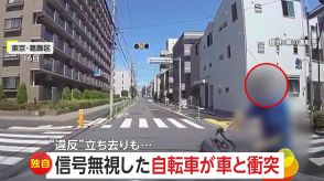 【独自】「テンパっちゃったかも」信号無視した自転車が車と衝突!…「すみません!」と繰り返すも立ち去る　東京・葛飾区