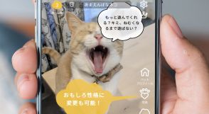 どうにか愛猫と喋りたい、鳴き声を理解したい「猫の言葉を翻訳できる」アプリを比較してみた！