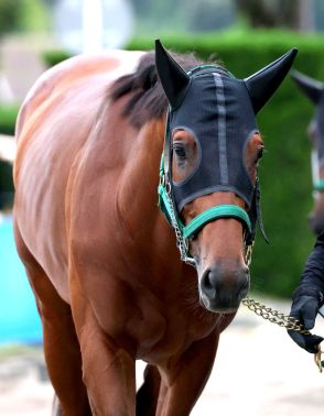 【宝塚記念】Ｇ１連勝を狙うベラジオオペラは３枠３番に決定　上村調教師「問題ない。いい枠じゃないですか」