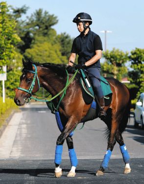 【メイクデビュー】近親にサリオスなどがいる良血サラコスティは23日京都芝1800ｍで初陣、池添師「全部がいい感じ」