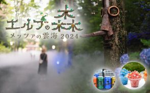 「エルフの森-メッツァの雲海2024-」。ミストのなかの森林浴、かき氷など楽しめる