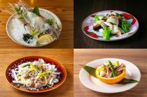 福岡市が魚食普及フェア、第1弾はイカ　市内の参加飲食店で提供