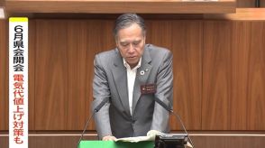 補正予算案30億4700万円余り　電気代値上げ対策も　知事「県民の暮らしや経営を支える」6月県会開会　