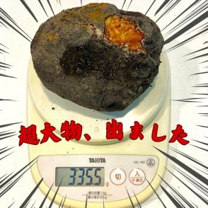 「胸熱すぎる」　琥珀採掘体験で300グラム超えの“超大物”！　ロマンあふれる発見が話題