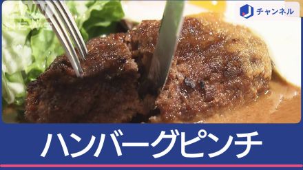 玉ネギが異例の高騰…たっぷり玉ネギが自慢のハンバーグ店ピンチ