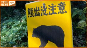 「クマと衝突しました」宮城県栗原市でクマが軽自動車と衝突