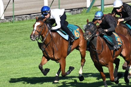 【今週の注目新馬】武豊も及第点の動き！　新種牡馬タワーオブロンドン産駒のラパンチュールが土曜函館に登場