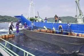 地域超密着の観光振興で活性化 　鹿児島県長島町の「獅子島」（ししじま）　島を歩く　日本を見る