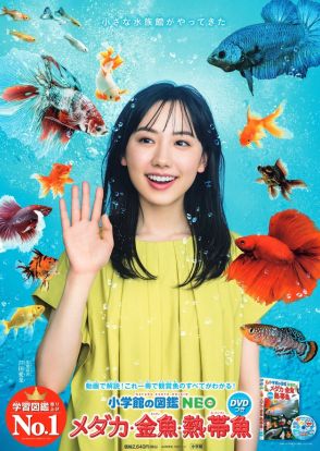 芦田愛菜 もうすぐ20歳！魚図鑑のポスターで大人っぽい新ビジュアル披露！“メダカ目線”の新CMも公開