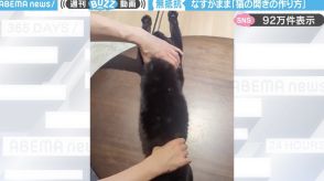 投稿者「猫の開きの作り方」←“されるがまま”の黒猫の姿に「飼い主さんとの信頼関係うらやましい！」「職人技と職人猫」