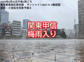 関東甲信は梅雨入り早々「非常に激しい」雨　日曜・月曜はまた雨・風強まるおそれ