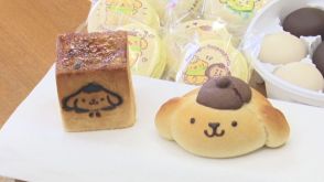 「ポムポムプリン」で町の賑わい創出 小松菓子業組合がこまつプリン百物語の商品を開発