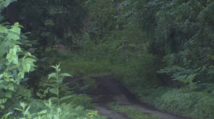 クマに襲われたか　顔や背中に大きな引っ掻き傷　50代くらいの男性が死亡　山林内で倒れている状態で発見