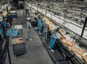 中国、ＥＵからの豚肉輸入で反ダンピング調査－貿易巡り対立激化