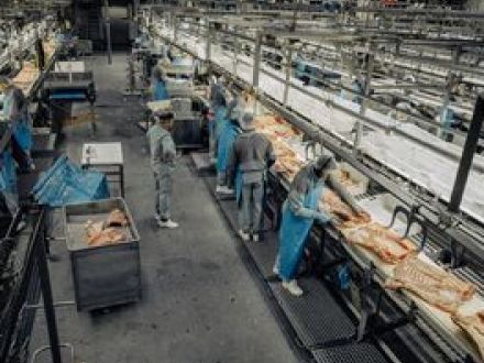 中国、ＥＵからの豚肉輸入で反ダンピング調査－貿易巡り対立激化