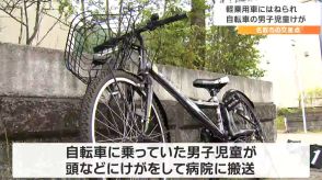 自転車の9歳の男子児童が軽乗用車にはねられる　軽乗用車運転の介護士の男（33）を逮捕　宮城・名取市