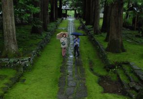 雨の参道、コケしっとり　寺院彩る梅雨の緑