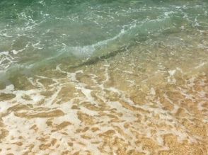 「別々に泳いでいた友人が戻ってこない」と通報　恩納村のビーチ沖合、40代男性が行方不明　沖縄