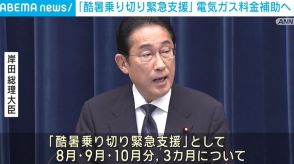 「酷暑乗り切り緊急支援」岸田総理、電気ガス料金補助を再開表明
