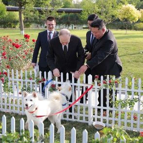 独裁者は揃って犬がお好き？ 金正恩総書記がプーチン大統領に大型猟犬を贈った意味