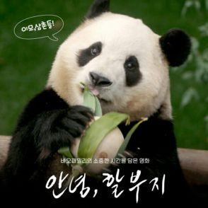 韓国生まれのパンダ「フーバオ」、人気は依然高く…未公開映像を映画化