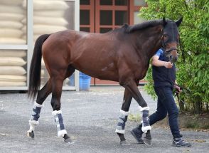 【宝塚記念】ブローザホーンは最終調整の坂路で力強い走り　吉岡調教師「万全だと思います」