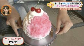 暑い日に食べた～い！映える大きなかき氷の中には…ワクワクする宝が詰まってる！福島市の「ピーチマンカフェ」