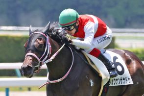 単勝１・１倍のショウナンザナドゥが５馬身差で楽勝　池添も２億円ホースを絶賛「ポテンシャルの高さは相当」【２歳未勝利／京都】