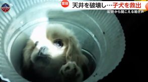 「くぅ～～～ん」配管から聞こえる“おびえた”声　生後3カ月の子犬が換気口に落下　救助隊が3時間かけ救出　アメリカ