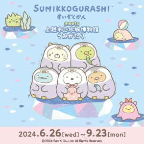 「すみっコぐらし」に似た生き物をじっくり観察＆学べる♪ 水族博物館「うみがたり」とコラボレーション