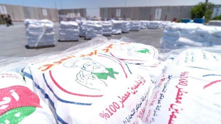 ﻿援助物資届かず略奪横行……ガザ南部の現状、イスラエルと国連は互いを非難
