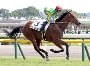 【東京６Ｒ・２歳新馬】サトノカルナバルが７馬身差Ｖ　レーン騎手が褒めちぎり「間違いなくポテンシャルの高い馬」