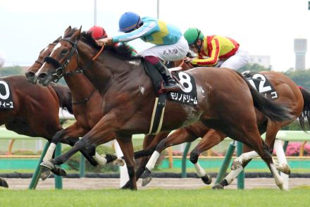 【函館１１Ｒ・青函Ｓ】洋芝大好きモリノドリームがＯＰ初勝利　横山武史騎手「一番適性がある舞台」