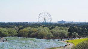 【50代男性が選ぶ】「茨城県」でイケてると思う街ランキング！　2位は「つくば市」、1位は？