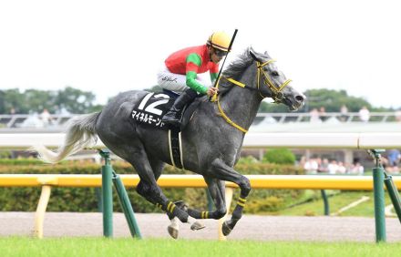 【江の島Ｓ】マイネルモーントが逃げ切りオープン入り