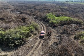 世界最大湿原に火の手　雨不足で過去最悪ペース　ブラジル