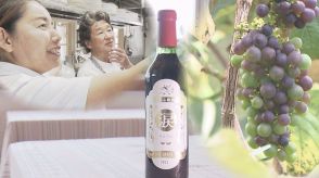 「酸味がはっきりして海の香りも」沖縄在来の野生ブドウでワインを自家醸造する夫婦の挑戦
