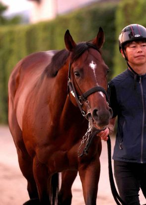 【宝塚記念】（4）ドウデュース　落ち着いて雰囲気いい、友道師「後はジョッキーに任せる」