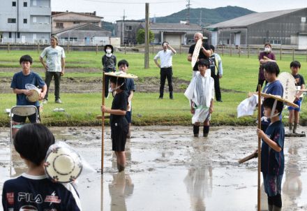 少子化影響、ルールを変えて伝統継承　三重・伊雑宮の神事