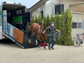 【宝塚記念　直前情報】ソールオリエンス陣営「雨馬場に関しては他馬が気にするならこちらに分があると思います」