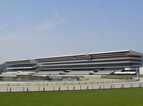 【京都5R新馬戦結果】断然人気のエリキングが完勝 キズナ産駒の2億円ホース