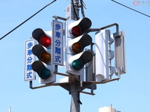 東日本で唯一!? 超レア「1本立ちの多灯信号機」なぜこの場所に？ 初見は「夜チョット怖い」かも