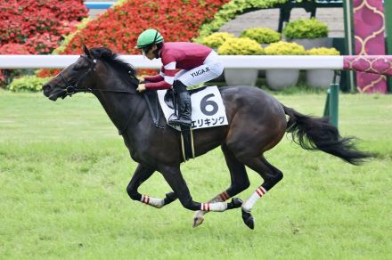 【新馬/京都5R】2億円ホース・エリキングがデビュー勝ち