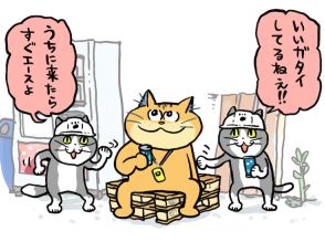 いいガタイしてるねえ「化け猫あんずちゃん」コラボイラストで仕事猫にスカウト受ける